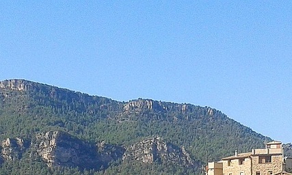 전세피해 임차인 지원금