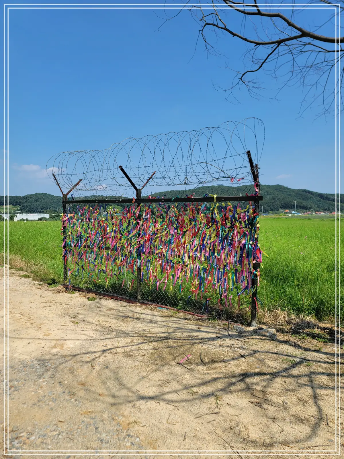 호로고루-통일바라기-메모