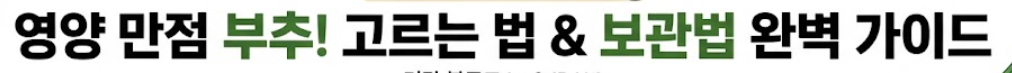 부추 효능