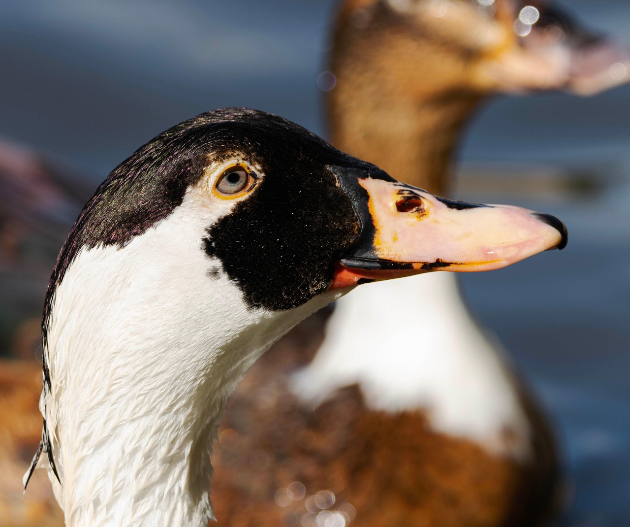 보청기 국가보조금 지원