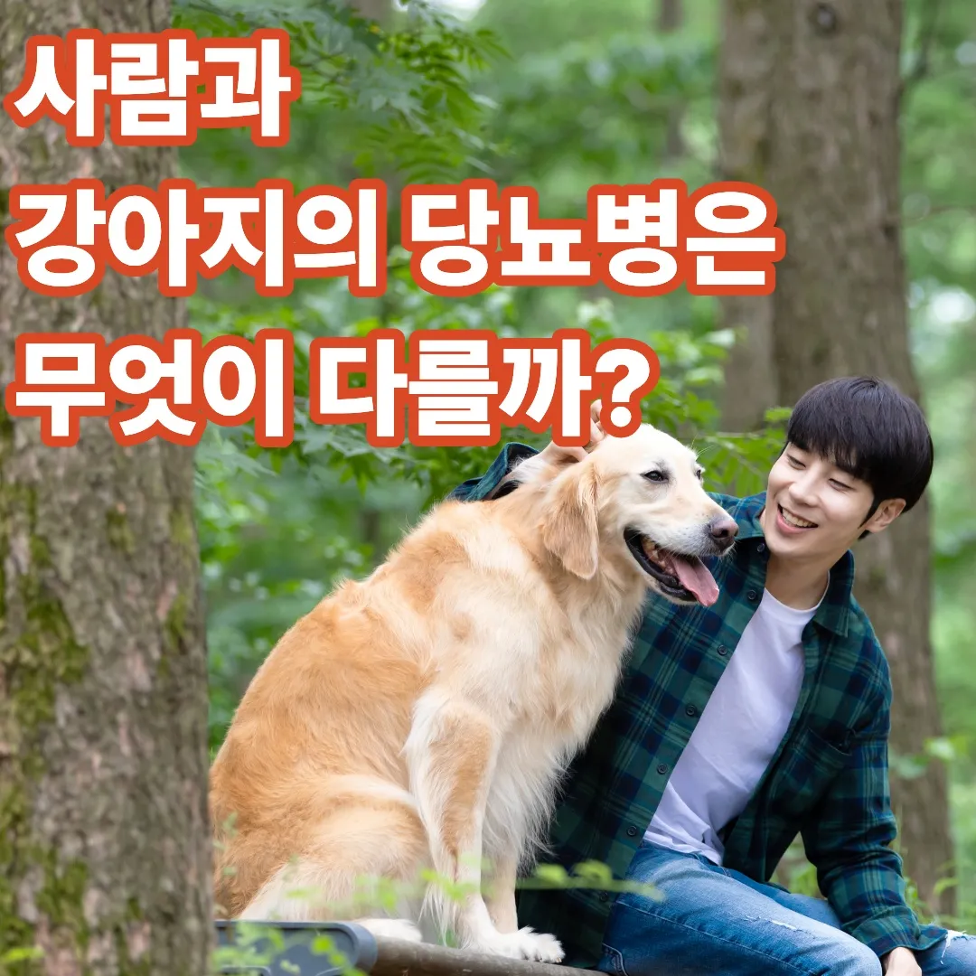 사람과 강아지의 당뇨병은 무엇이 다를까?
