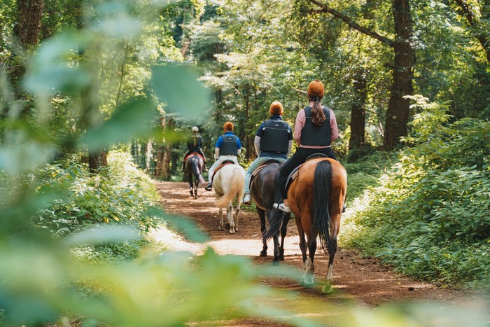 제주도 애월 관련 사진
