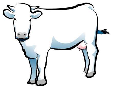 2026년 소띠 신년운세 무료보기