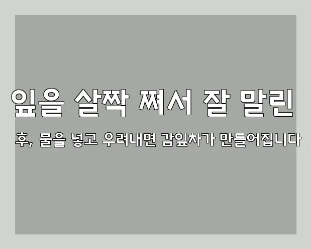 잎을 살짝 쪄서 잘 말린 후, 물을 넣고 우려내면 감잎차가 만들어집니다
