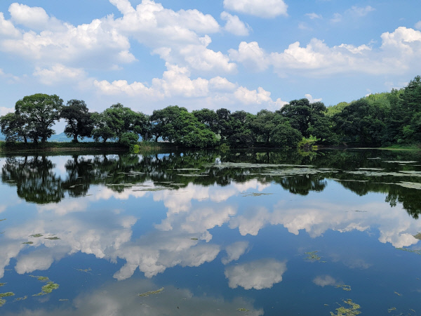 봄에 떠나는 여행지