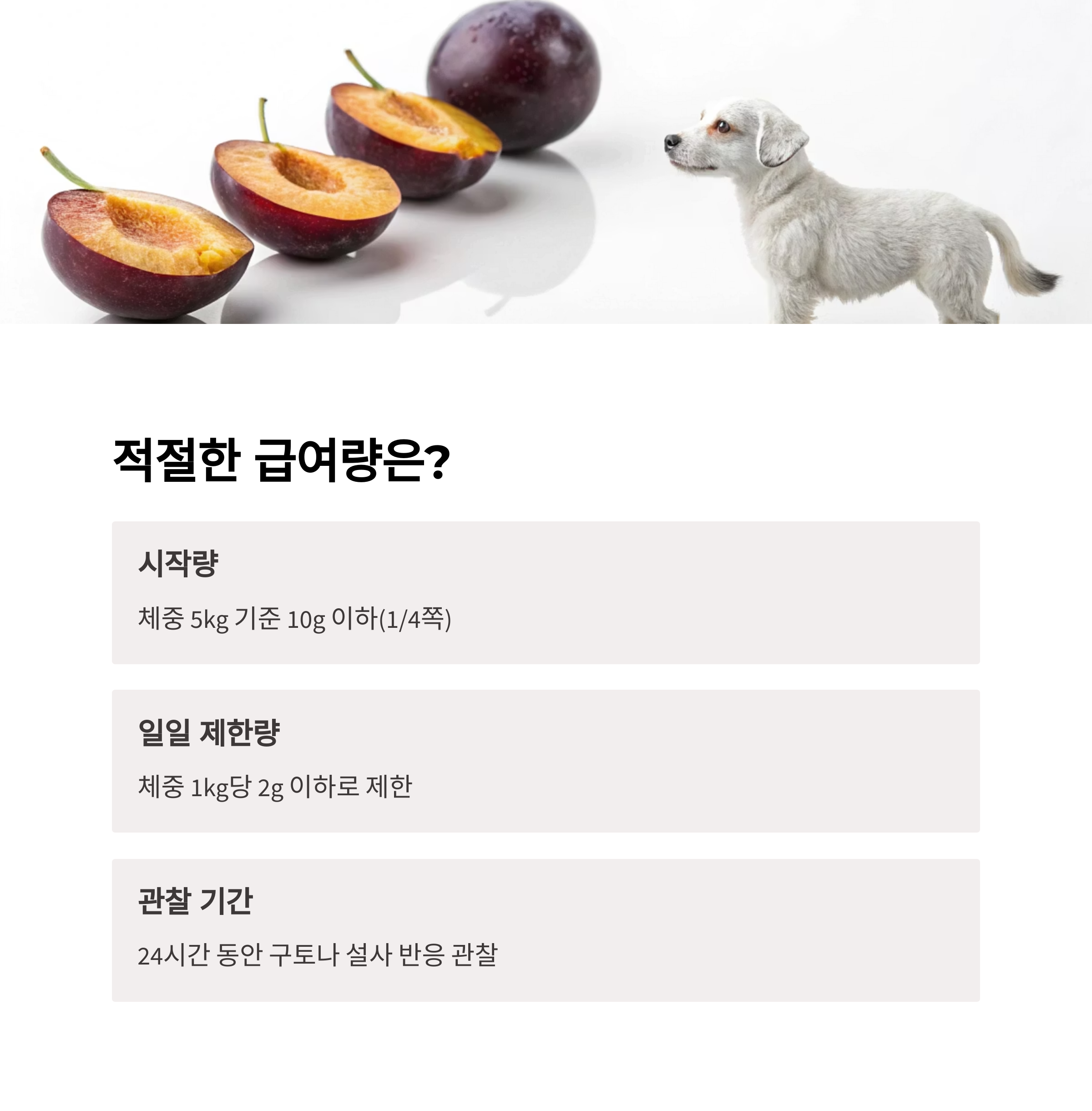 적절한 급여량은?