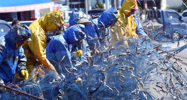 4월 부산 근교 봄축제 TOP 05 데이트 가족나들이 가볼만한곳