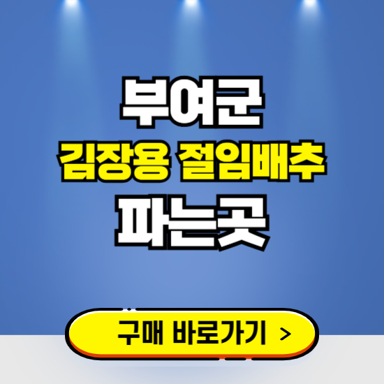 부여군 절임배추 사전예약 구입하는곳 ❘ 김장배추 파는곳 가격보기