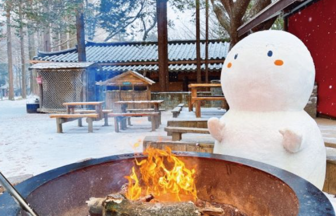 1월 강원도 가볼만한곳 ❘ 국내 겨울 갈만한곳 새해 여행지 추천 ❘ 데이트 여행 가족 실내 나들이 당일치기