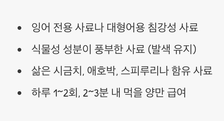 아무거나 잘 먹지만, 이것만은 꼭!