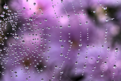 비꿈 상황별 해몽