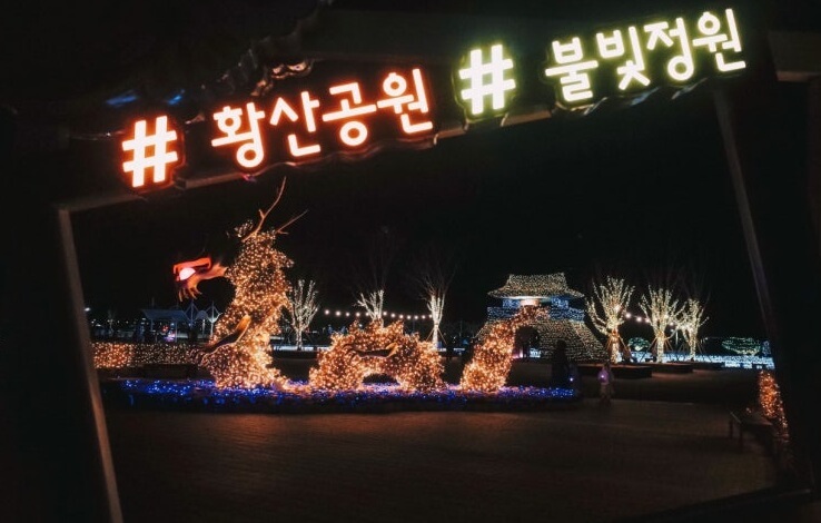 부산 근교 가을꽃 명소 양산 황상공원 개화시기 및 꿀팁 사진