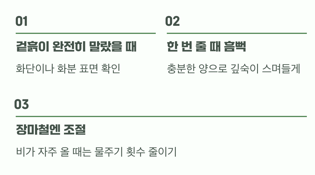 비결 3. 과한 사랑은 금물, '물주기'의 지혜