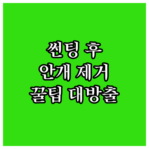 썬팅 후 안개? 걱정 끝! 완벽 제거..