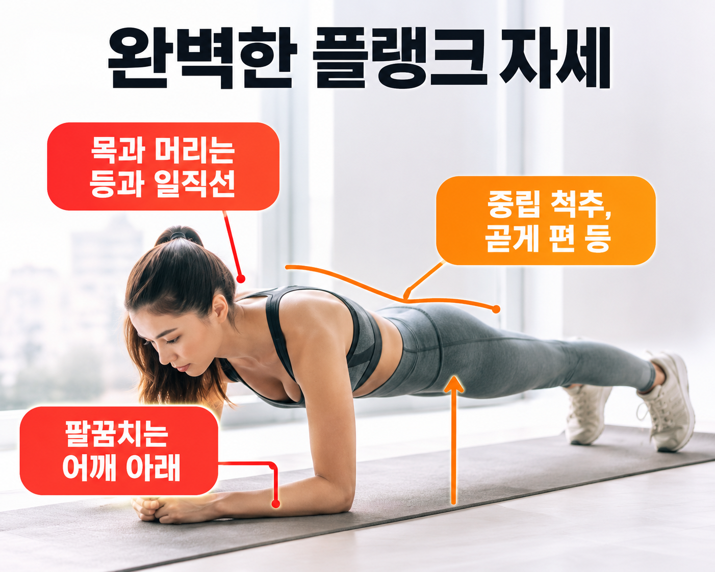 중력근 및 코어 강화를 위한 대표 동작인 올바른 자세의 플랭크(Plank)