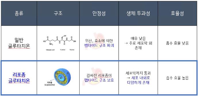 리포좀-글루타치온-특징
