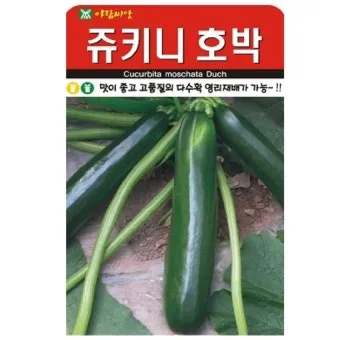 주키니 재배 모종 활착 순치기 수확 타이밍_2