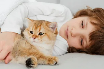 고양이가 집사를 사랑할때 하는 행동_32