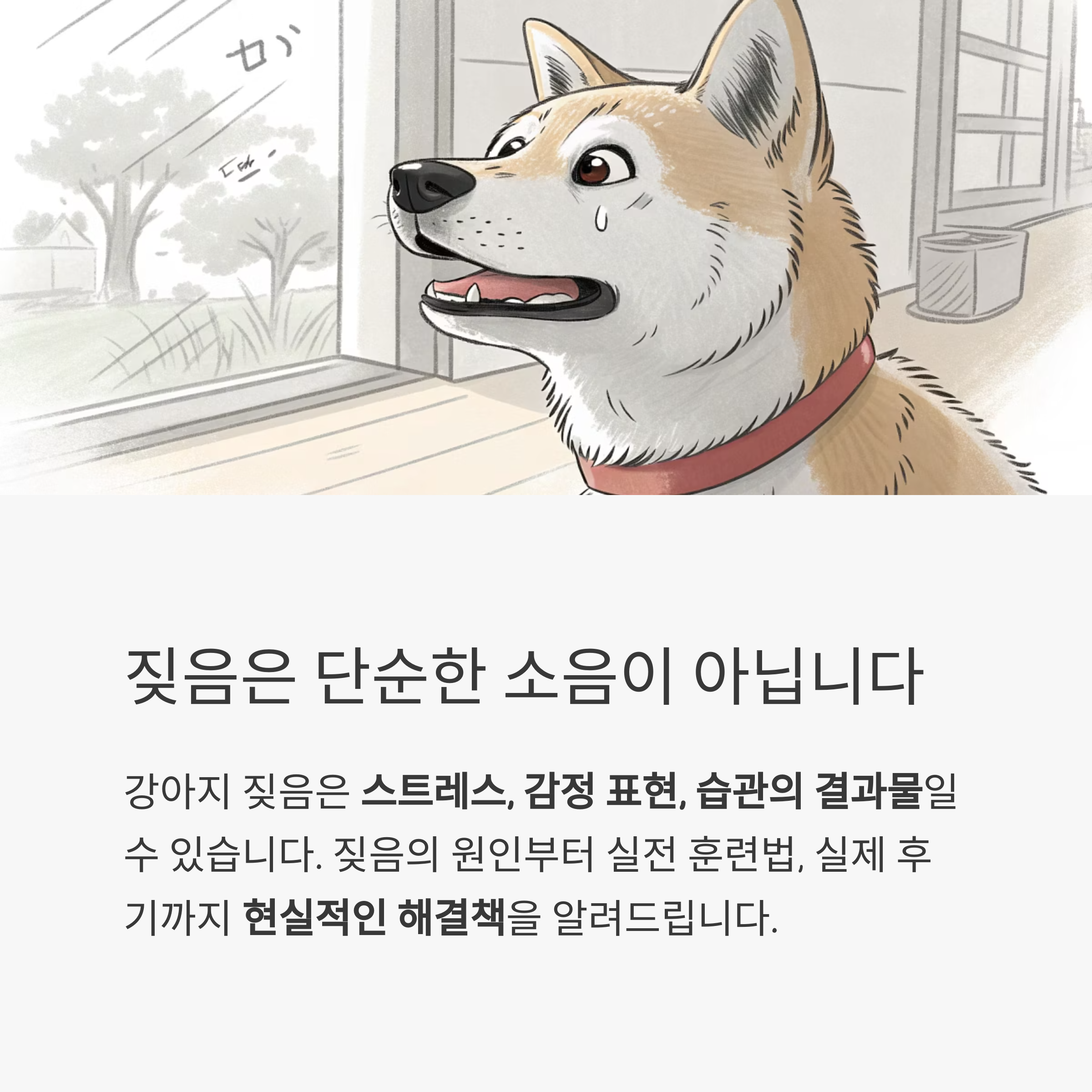 짖음은 단순한 소음이 아닙니다