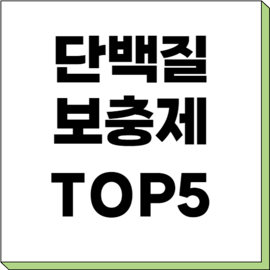 단백질 보충제 추천