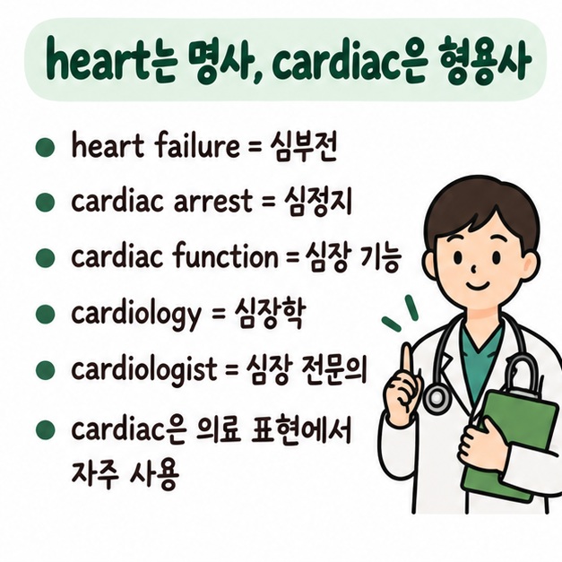heart는 명사이고 cardiac은 심장과 관련된 형용사이며 heart failure와 cardiac arrest 등 의료 표현의 차이를 보여주는 카드
