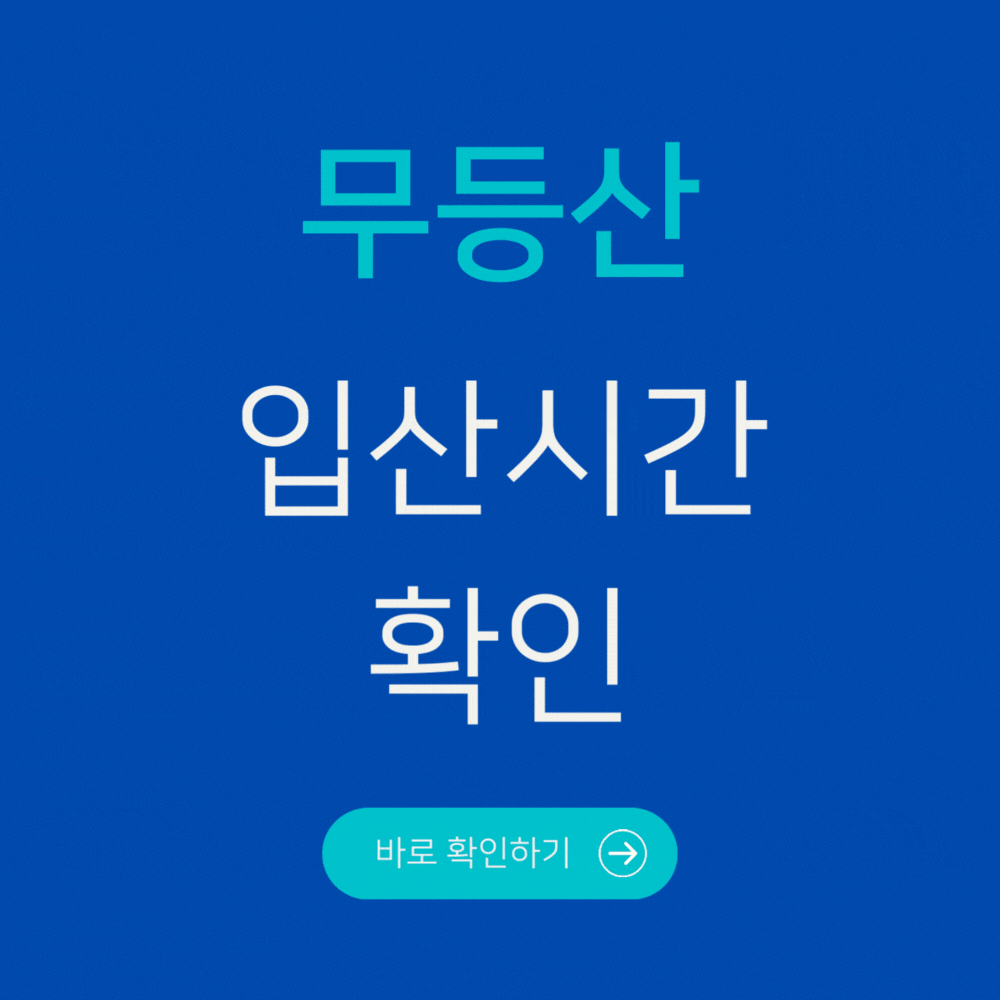무등산 입산시간 확인