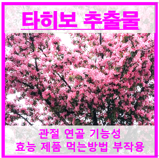 타히보 추출물 썸네일