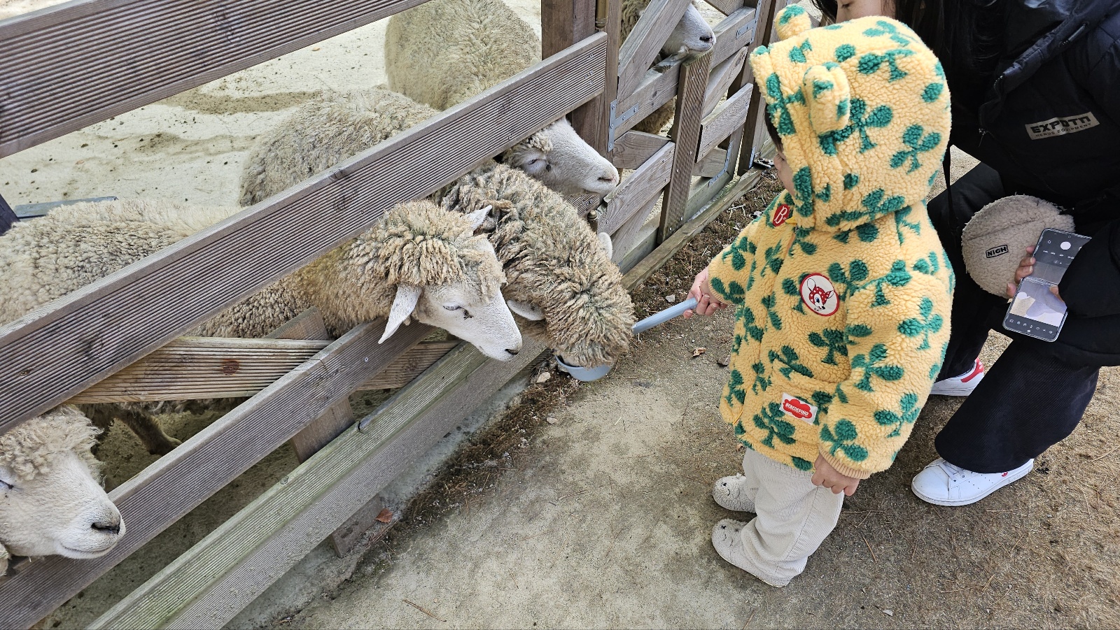 [24.11월] 아이와 평창 #1 - 모나 용평리조트 애니포레🏔️