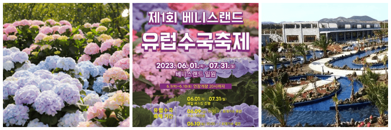 베니스랜드 유럽수국축제 사진 3개