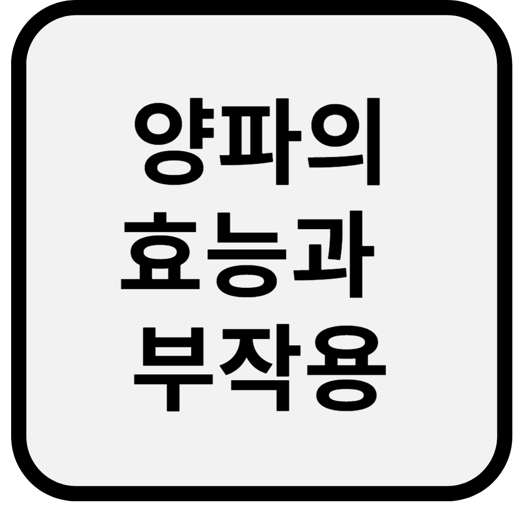 양파의 효능과 부작용: 건강을 위한 필수 정보
