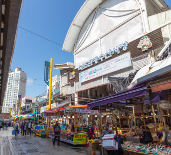 속초 가볼만한곳