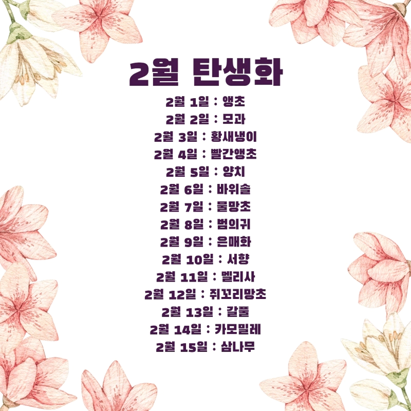 생일 축하 꽃말 2월 탄생화 (2월 1일-29일 날짜별 생일 꽃)