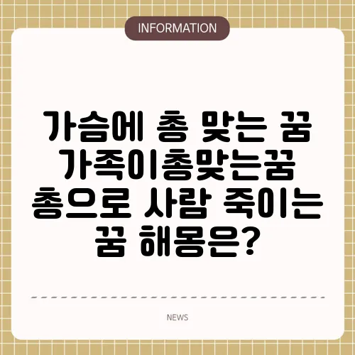 가슴에 총 맞는 꿈 가족이총맞는꿈 총으로 사람 죽이는 꿈 해몽은?