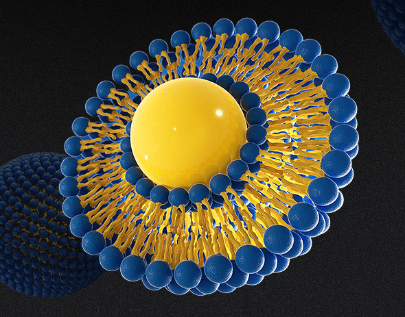 리포좀 글루타치온