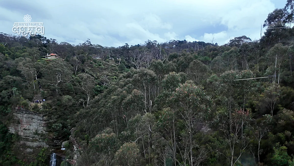 시닉월드 케이블카에서 내려다본 블루마운틴 숲 전망 Aerial forest view from Scenic World cable car