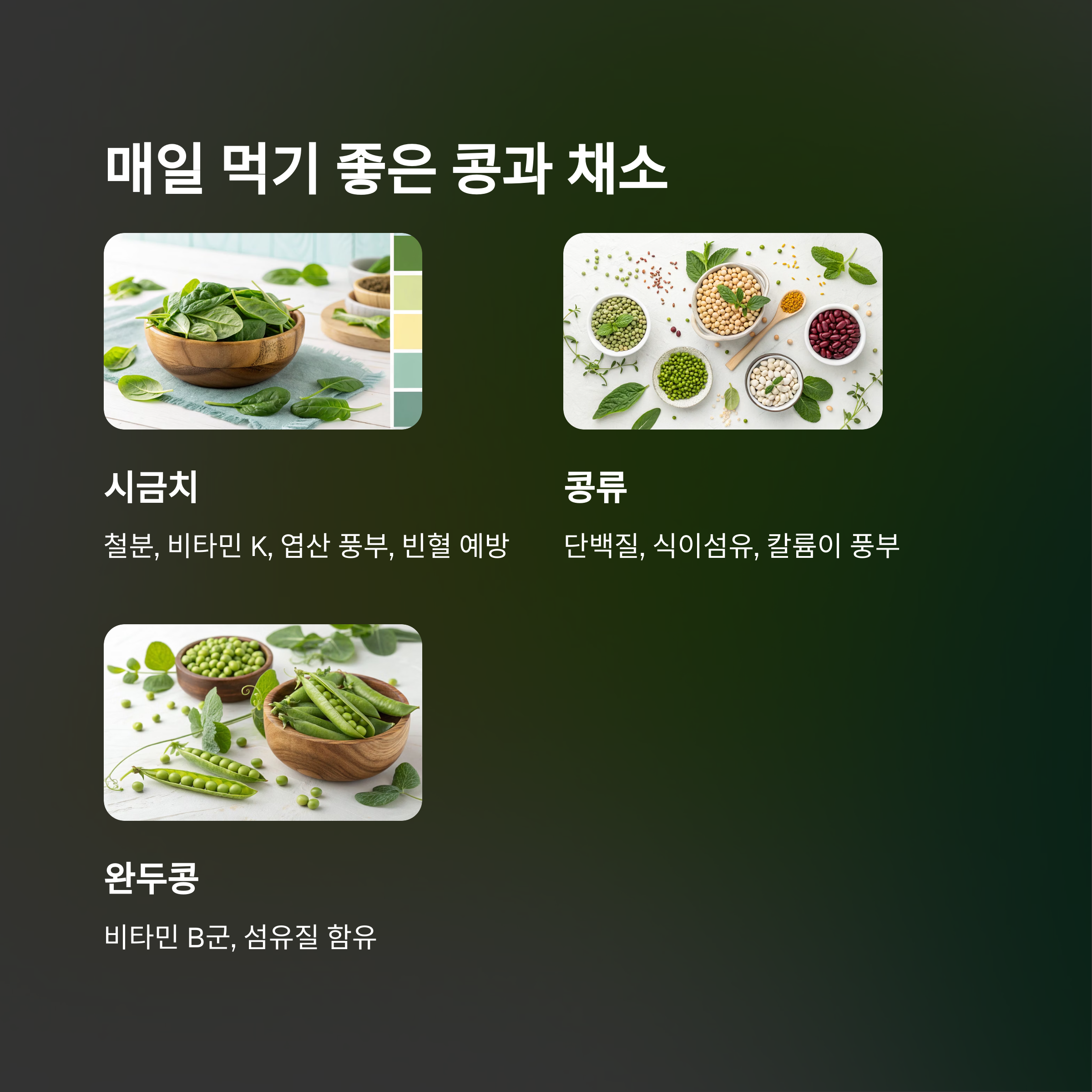 매일 먹기 좋은 콩과 채소