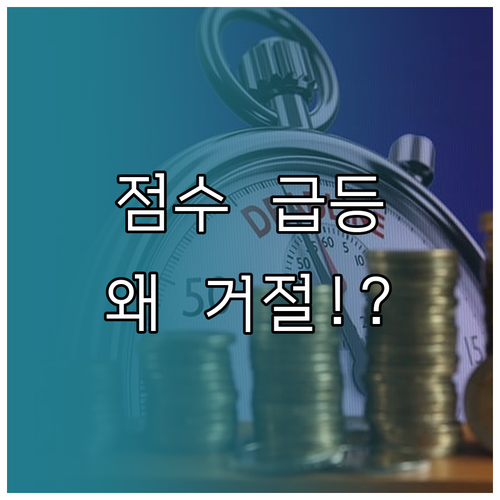 신용 점수 급상승에도 카드 발급 거절..
