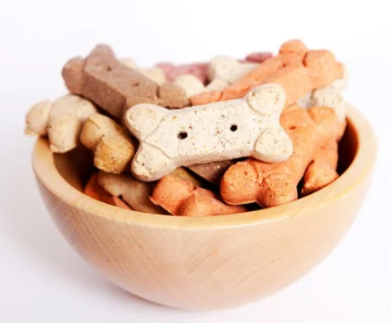 강아지 사료 추천 간식 선택 가이드