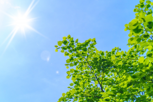 헐리우드 토닝 설명 이미지