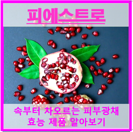 피에스트로 썸네일