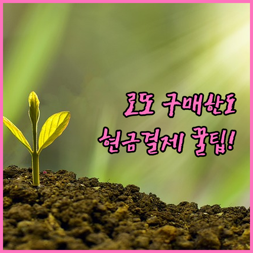 동행복권 로또 구매 한도와 결제 수단..