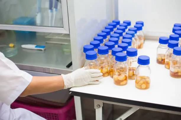 CDMO 관련주 수혜주