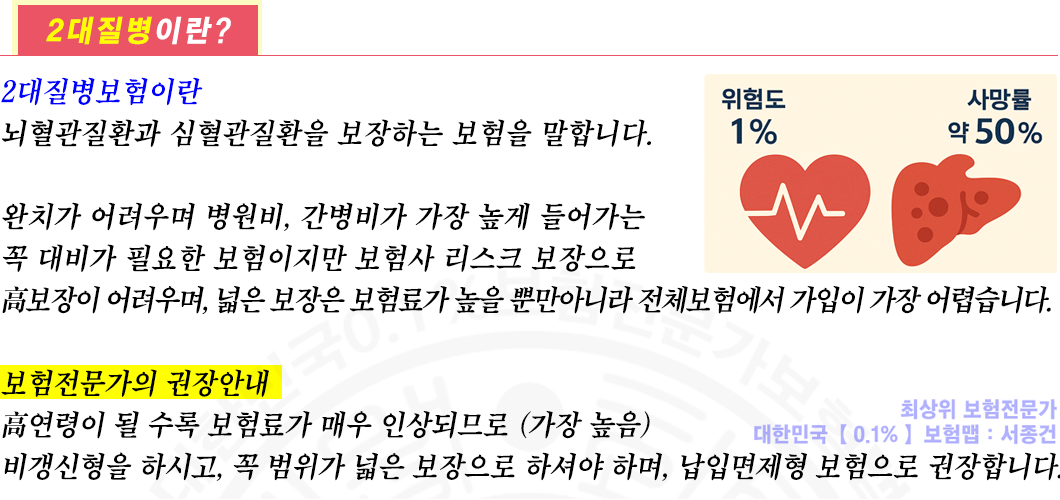 2대질병보험이란상세