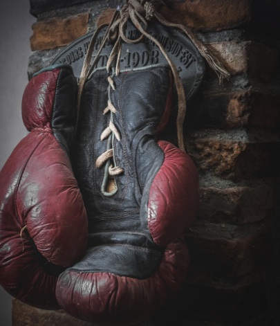 복싱 글러브 모습