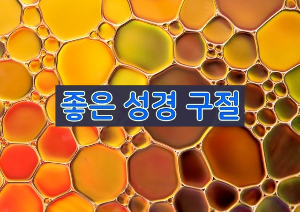좋은 성경 구절