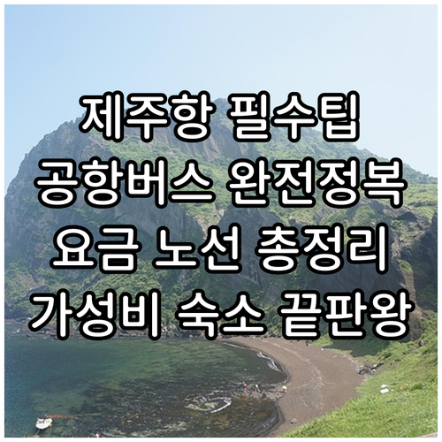 제주항에서 제주공항 버스 요금 노선 ..