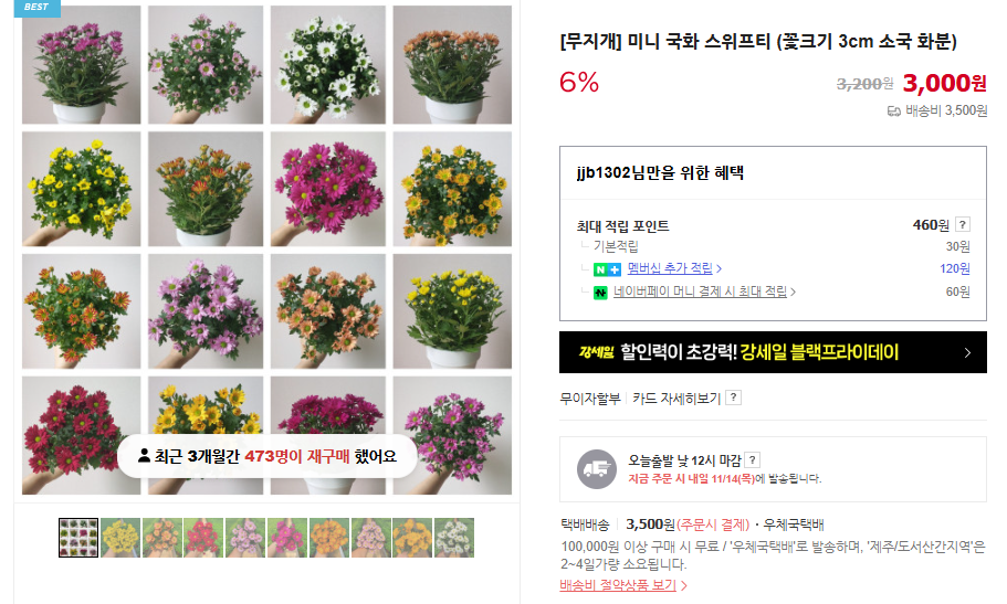 꽃말 이쁜 꽃과 15가지 인기 꽃말 모음 및 의미