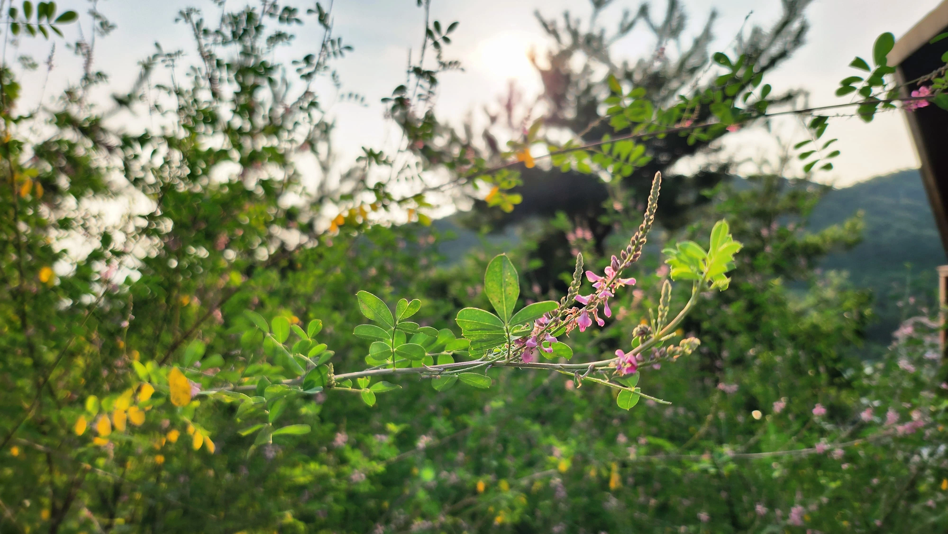 변산반도 휴양림 풍경