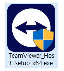 팀뷰어 실행파일 아이콘