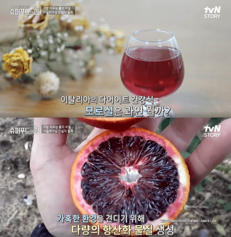 이탈리아-시칠리아에서-추출한-검붉은-색을-띠는-모로-오렌지